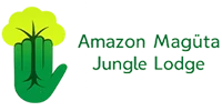 Amazon Maguta Lodge And Tours